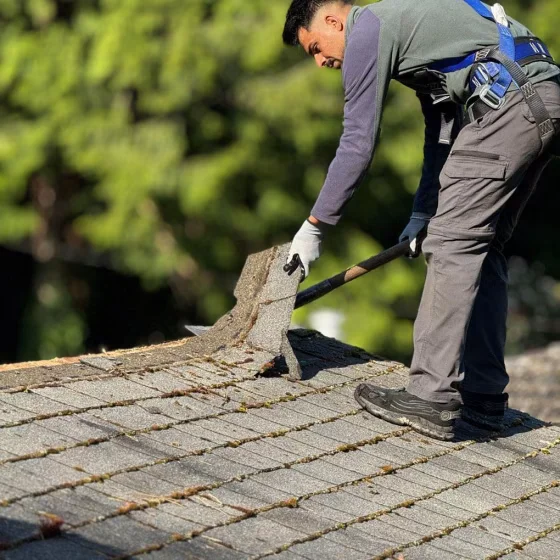 Roofing